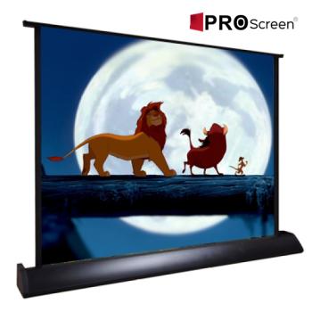 PROSCREEN 80cm x 60cm 40'' Masaüstü Projeksiyon Perde